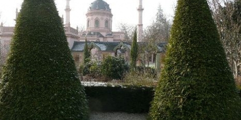 Kako posaditi tuju u jesen na otvorenom terenu: uslovi, pravila, priprema za zimu, sklonište za zimu